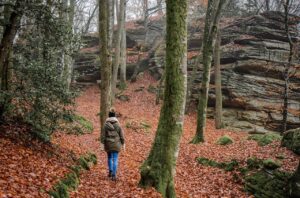 Wanderneuling auf sicherem Pfad in der Heide