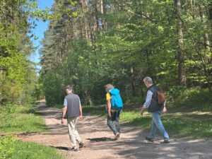 Drei Männer wandern entspannt durch einen sonnigen Waldweg in der Lüneburger Heideim Wald
