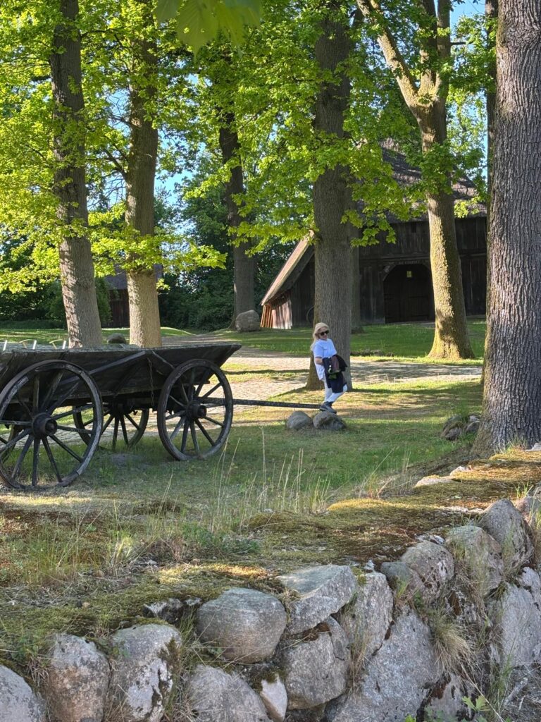 Frau spaziert durch eine Lichtung mit altem Fuhrwerk und historischen Heidehäusern