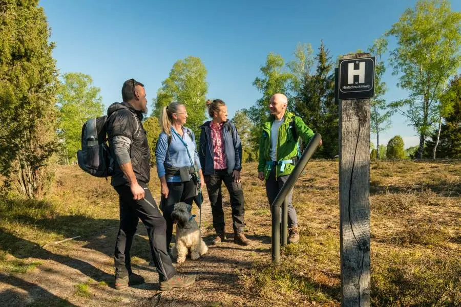 Hund mit Halter:in beim Wandern auf einem Sandweg durch die Lüneburger Heide