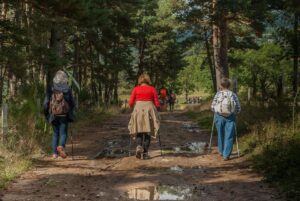 Wandergruppe mit Singles unterhält sich bei einer Pause in der Lüneburger Heide.